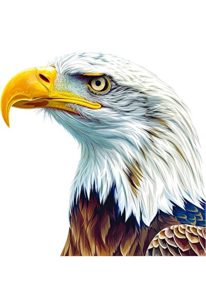 OEM Διακοσμητικό αυτοκόλλητο, αετός, λευκό