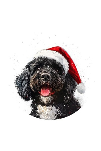 OEM Διακοσμητικό αυτοκόλλητο, Χριστούγεννα, Πορτογαλικό-Νερό, Πολύχρωμο