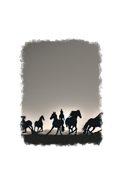 OEM Autocolant decorativ, cai, negru, 70 cm