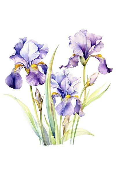 OEM Autocolant decorativ, flori de iarnă, iris, violet
