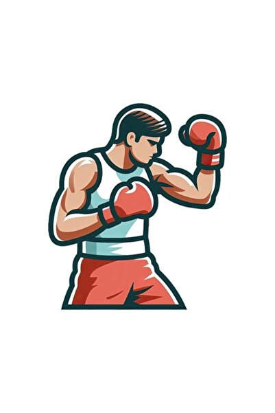 OEM Autocolant decorativ, Boxer, multicolor