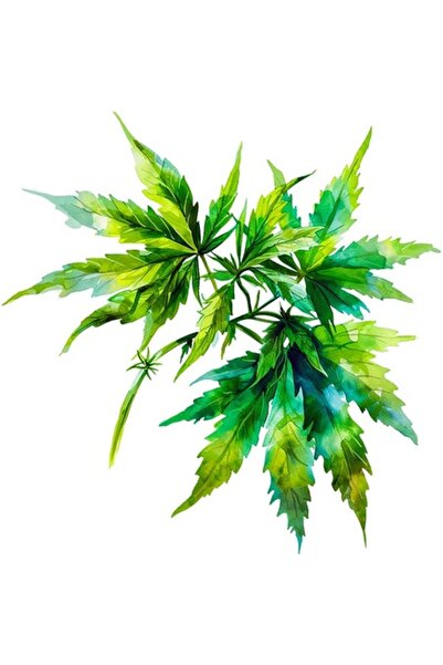 OEM Autocolant decorativ, frunze, verde