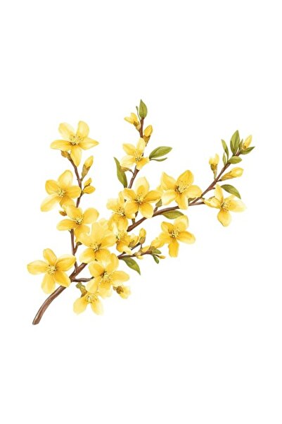 OEM Autocolant decorativ, floare, galben