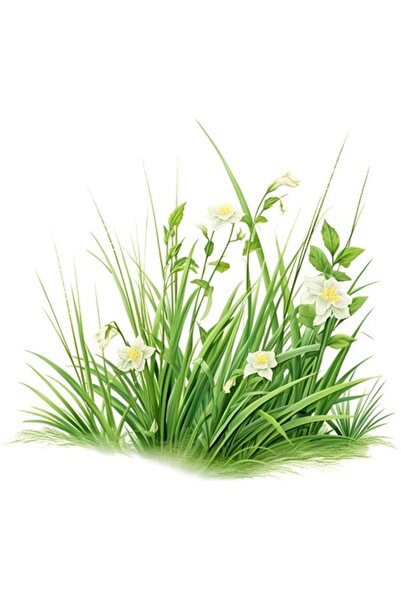 OEM Autocolant decorativ, iarbă cu flori, verde