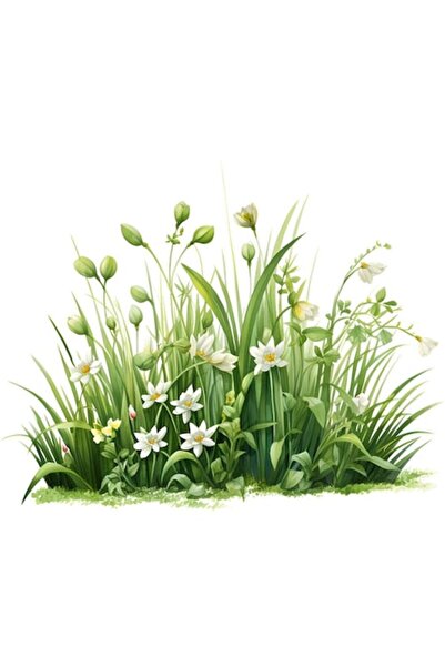 OEM Autocolant decorativ, iarbă cu flori, verde