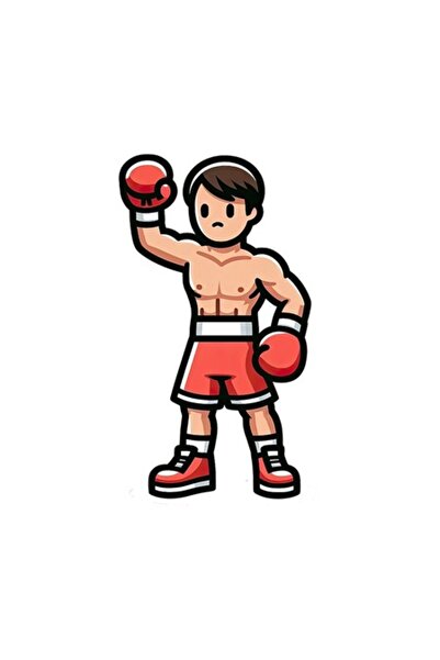 OEM Διακοσμητικό αυτοκόλλητο, Boxer, Πολύχρωμο