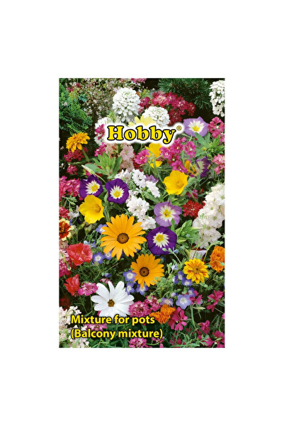 OEM Seminte flori de primavara, amesec pentru jardiniere, Hobby, 0.85 g