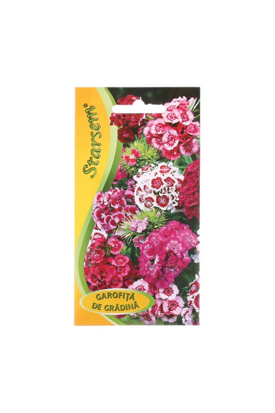 OEM Seminte flori de primavara, garofite de gradina, amestec culori, Starsem,...