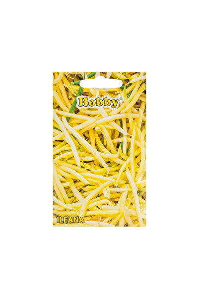 OEM Seminte legume, fasole galbena Ileana, Hobby