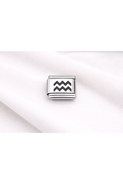 ZEMİRA HOME Steel Nomination Charm Aquarius |   Stainless Steel Bracelet Char...