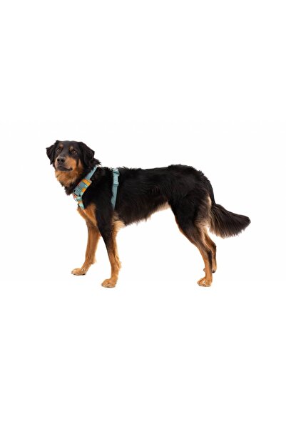 Ruffwear Ham ajustabil Front Range Ruffwear, Spring Mountains, cu banda refle...