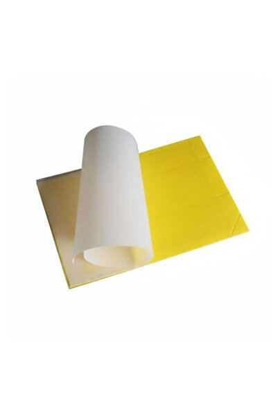 DLC مصيدة حشرات من الورق اللاصق، 10 قطع