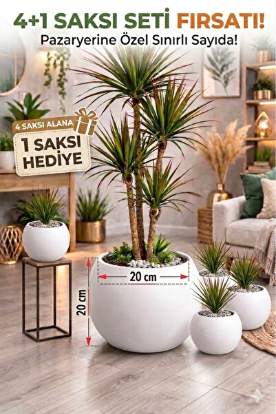 CANBOTANİK Salon Saksı 20 cm Beyaz 4 Alana 1 Bedava Küre Saksı -İçliksiz