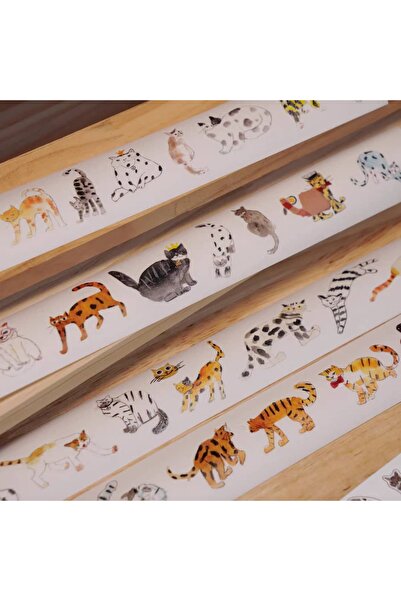 İthal شريط واشي للقطط من استوديو L19-Wanle بطول 100 سم ذاتي اللصق لمّاع