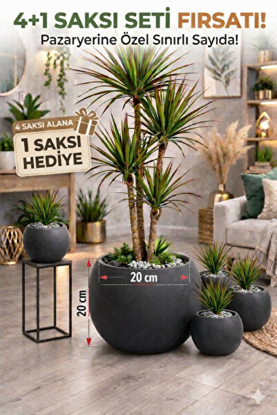 CANBOTANİK Salon Saksı 20 cm Antrasit 4 Alana 1 Bedava Küre Saksı -İçliksiz