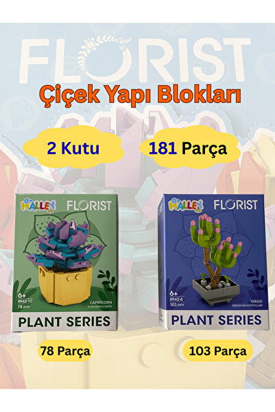 Magneton 2 Adet Çiçek Lego Tarzı Yapı Oyuncak - Eçeverya ve Jelibon Sukulent ...