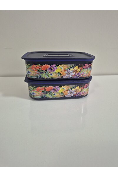 Tupperware سو طاووس 500 مل حاوية تخزين مكونة من قطعتين