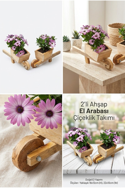 w & s Woodysharky Arabası Dekoratif Çiçeklik Saksılık (2 adet fiyatıdır)