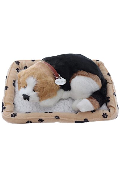 OEM Jucărie interactivă pentru cățeluș Maro Brown