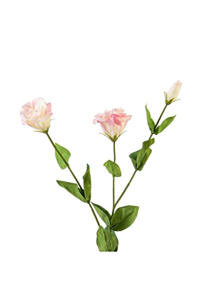 Midas Furniture زهور صناعية كريمي ليزيانثوس 71 سم