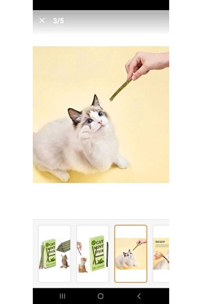 Dalian Home 6’lı Doğal Matatabi Çubuğu – Kedi Nanesi Çiğneme Stick | Catnip, ...