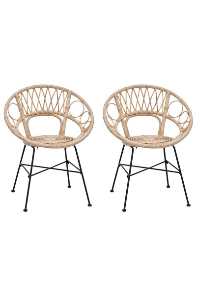 vidaxl Scaun de sufragerie 2 pcs 49 x 51 x 81 cm Ratan și Fier