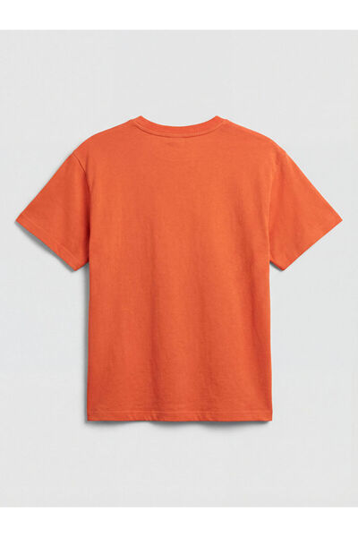 LC Waikiki Crew Neck Embroidered Girl's T-Shirt
