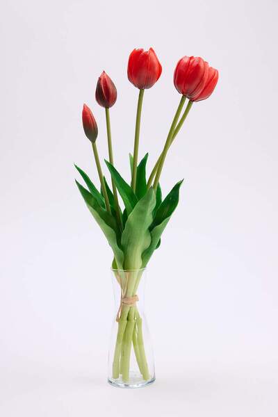 TRENDYOLMİLLA HOME Floare artificială de lalele cu textură umedă TPHSS26YCK00003