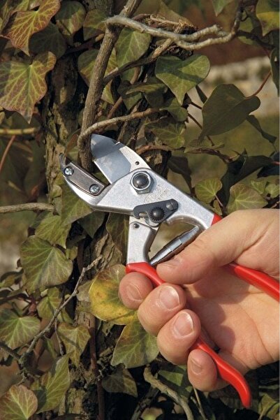Felco 31 Budama Makası 21cm Sağ-Sol Anvil