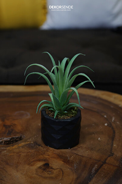 Dekorsende Yapay Tüylü Tillandsia Sukulent Açık Yeşil 17 cm