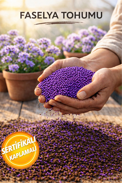 Aksaray Arıcılık 1 KG - Faselya Otu Tohumu (Arı Otu Tohumu)