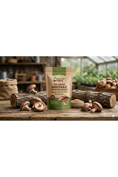 tohumcu kikizade 100 gram Shitake Mantar Tohumu Miseli