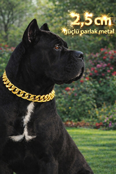 LOOL PREMİUM 2.5cm METAL KALIN ZİNCİR TASMA KÖPEK ZİNCİR KOLYE
