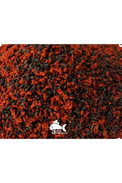 Atılım Akvaryum Ciklet Balığı Yemi, Yüksek Protein Oranlı Etçil Yem Özel Seri 100 Gram