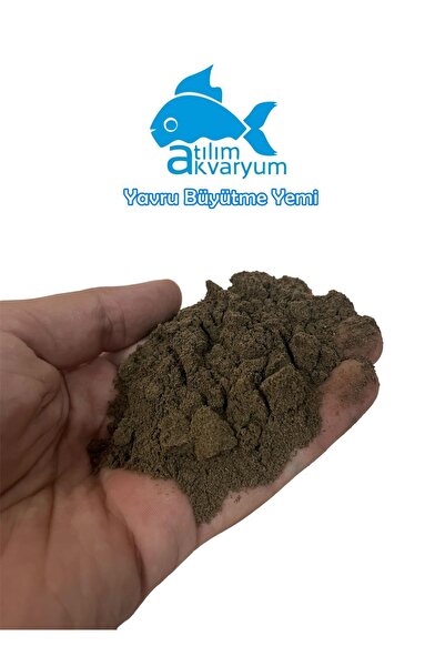 Atılım Akvaryum Premium Yavru Balık Yemi, Balık Büyütme Yemi Toz Yem 100 gram