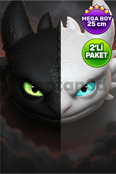 Toptan3D (2'li Paket) (Mega Boy) Ejderhanı nasıl Eğitirsin? Gecenin Öfkesi & ...