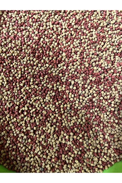 Atılım Akvaryum Yunus Balığı Yemi, Yunus Ciklet Kafa Yemi, Yüksek Proteinli B...