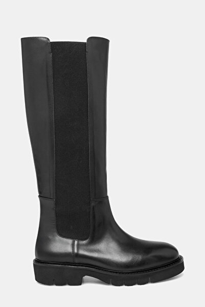 W Collection ÇİZME