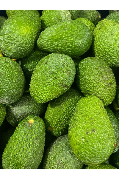 MYANAMUR 1 Kg Yerli Avokado - Anamur'dan Taze Hasat