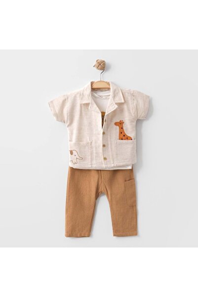 Necix's 3-Piece Set with Lion Figure Camel