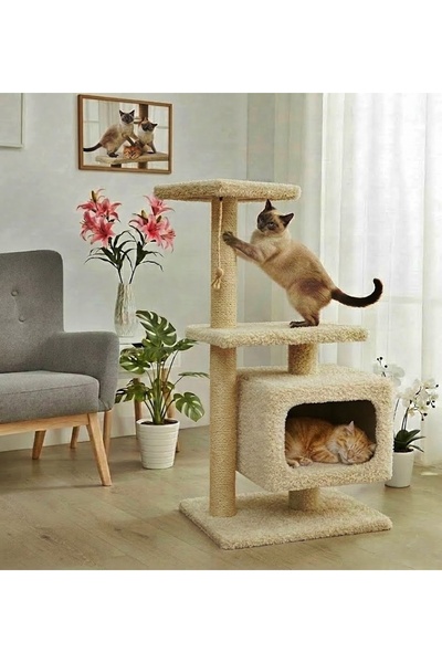 Turkuaz Tırmalama Tr311 Kedi Evi Tırmalama