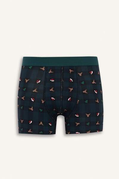 DeFacto Χριστουγεννιάτικο θέμα Regular Fit Boxer F9924AX25WN