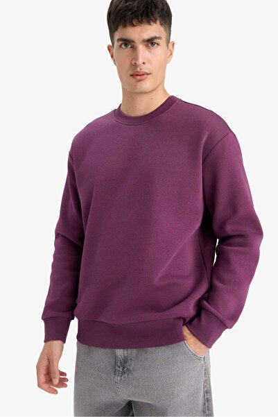 DeFacto Relax Fit Bisiklet Yaka Kalın İçi Yumuşak Tüylü Basic Düz Sweatshirt ...