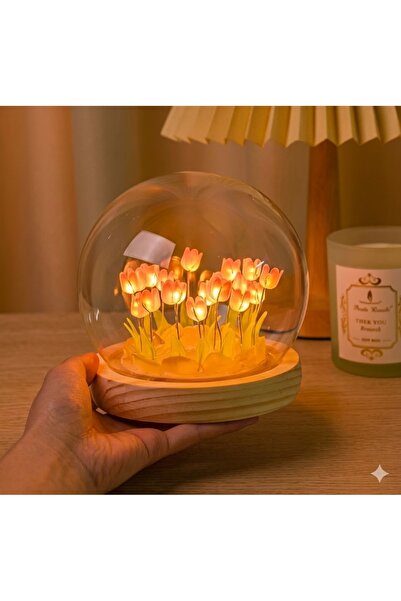 ENMA STORE Fanus İçinde Lale Bahçesi Tasarımlı Ledli Masa ve Gece Lambası