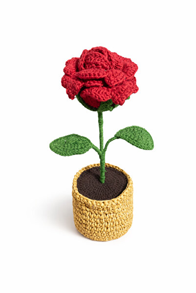 crafted by Nilüfer Mini Saksıda solmayan çiçekler ayçiçeği gül papatya lale