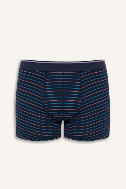DeFacto Regular Fit Striped 3-Piece Boxer D9876Ax25Sp