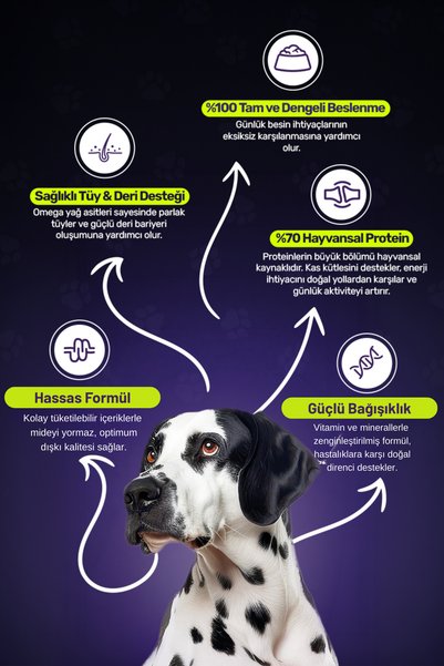 Twinkle Kuzulu Yetişkin Köpek Maması 10 Kg (10 in 1) Ekonomik Paket