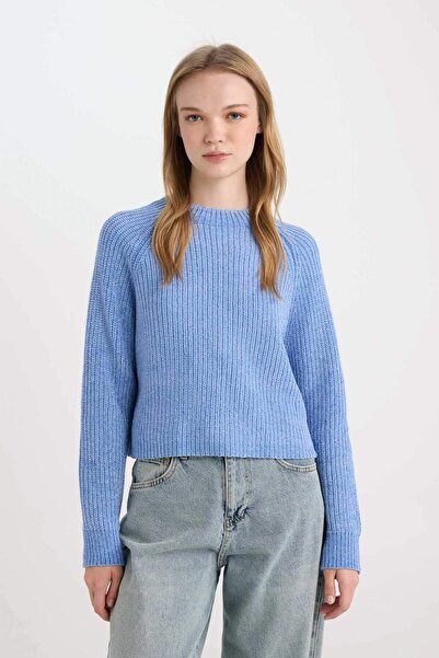 DeFacto Regular Fit Strickpullover mit halbem Rollkragen C6234AX24CW