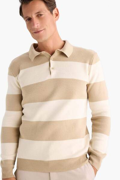 DeFacto Πλεκτό πουλόβερ με ριγέ πόλο με κανονική εφαρμογή Y4194AZ24WN