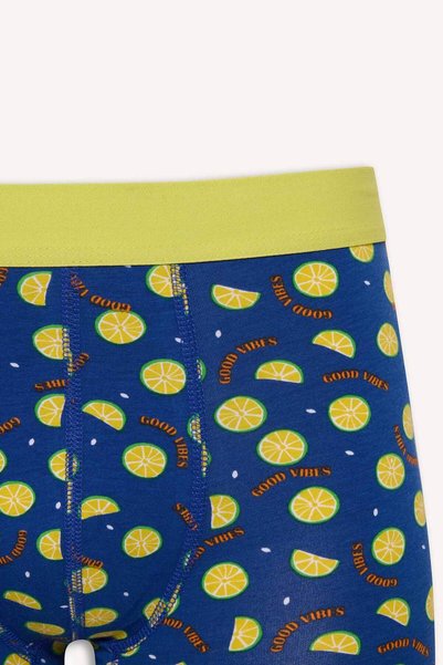 DeFacto Regular Fit Patterned 3-Piece Boxer C3284Ax24Wn